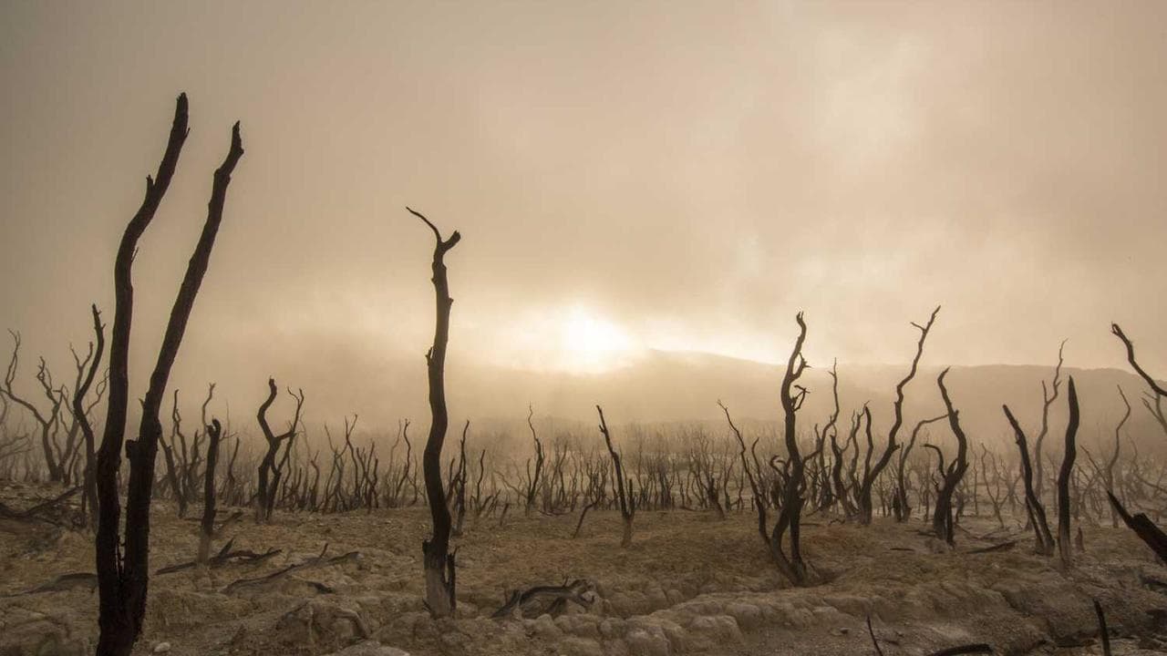 Backdrop for A Night at the Movies: The Suspenseful World of Thrillers
