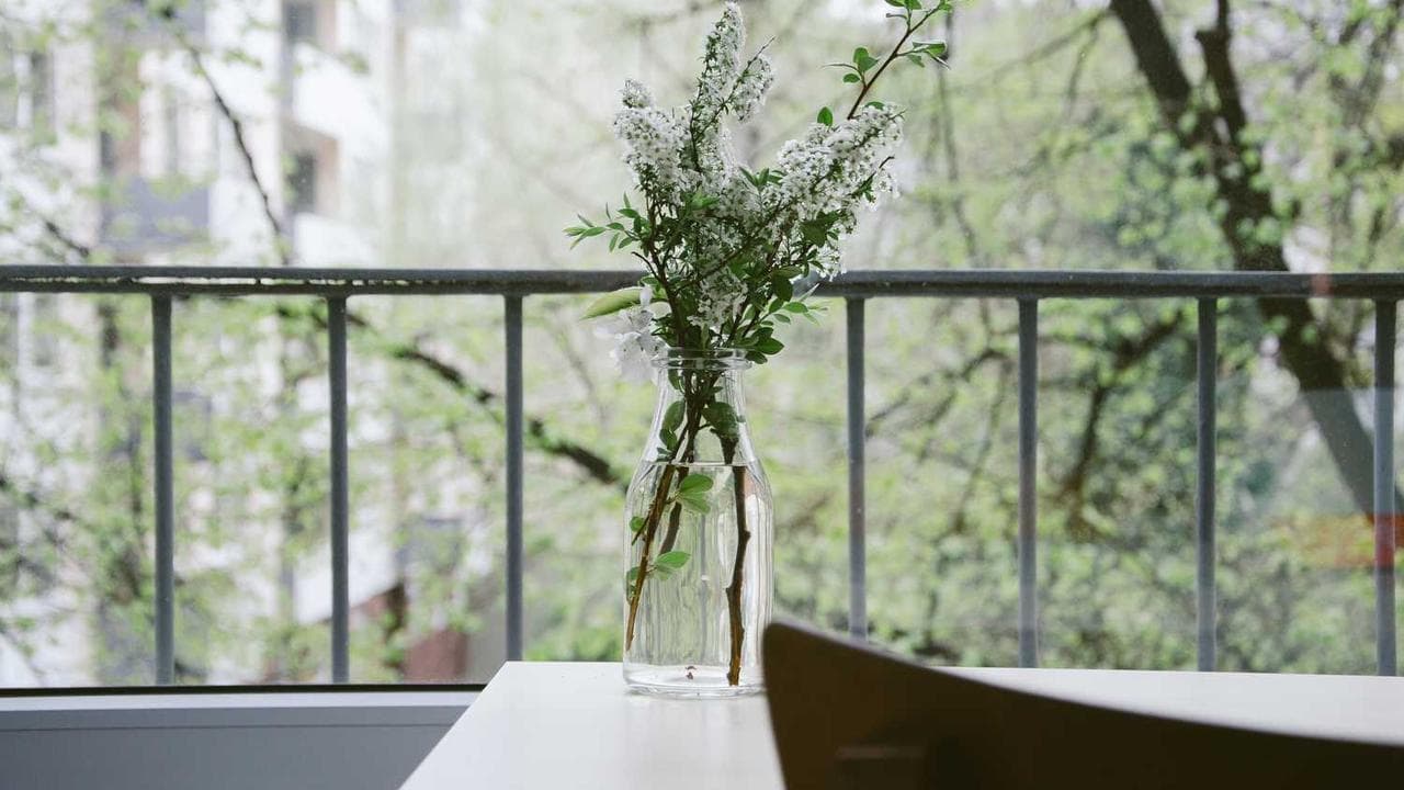 Backdrop for Να ζη κανείς ή να μη ζη;