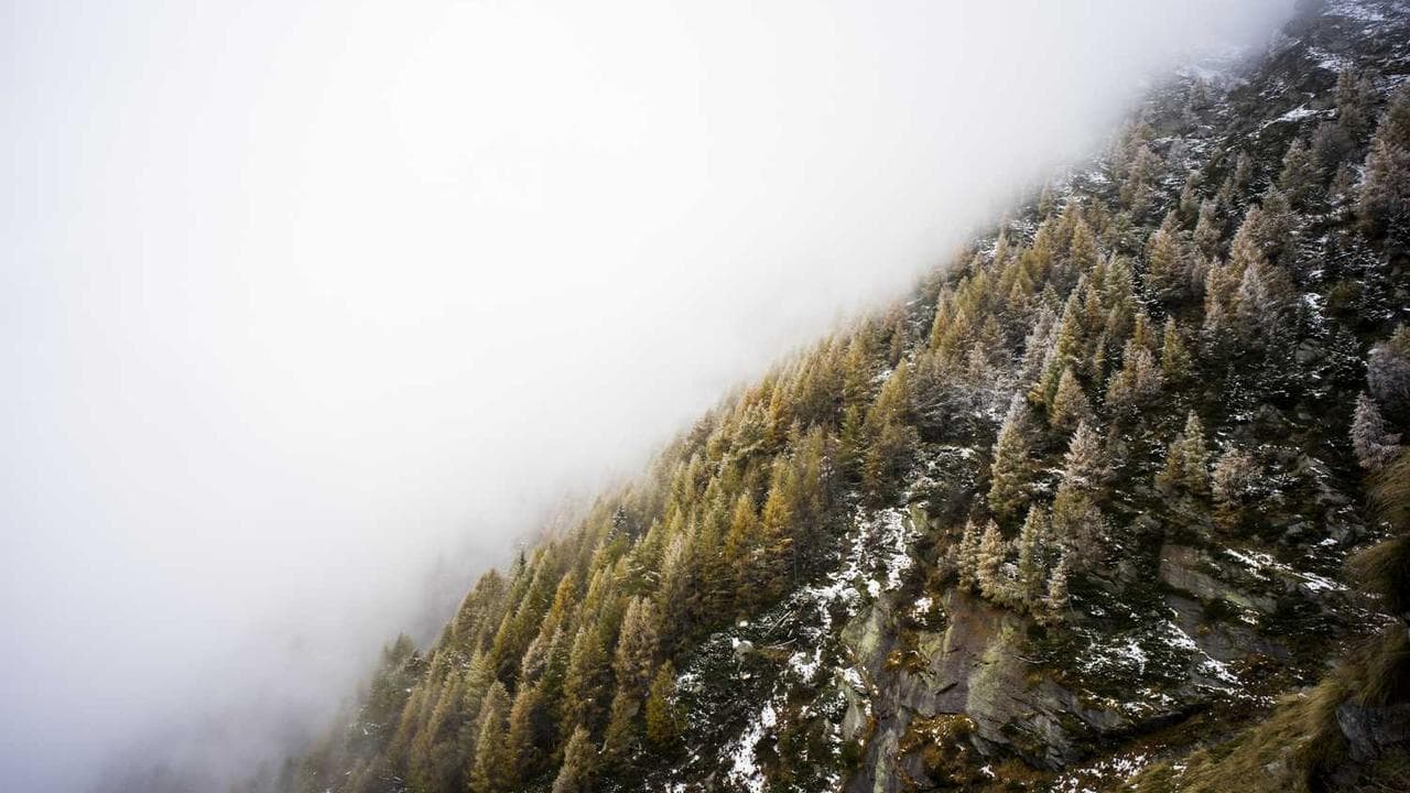 Backdrop for Nije bilo uzalud