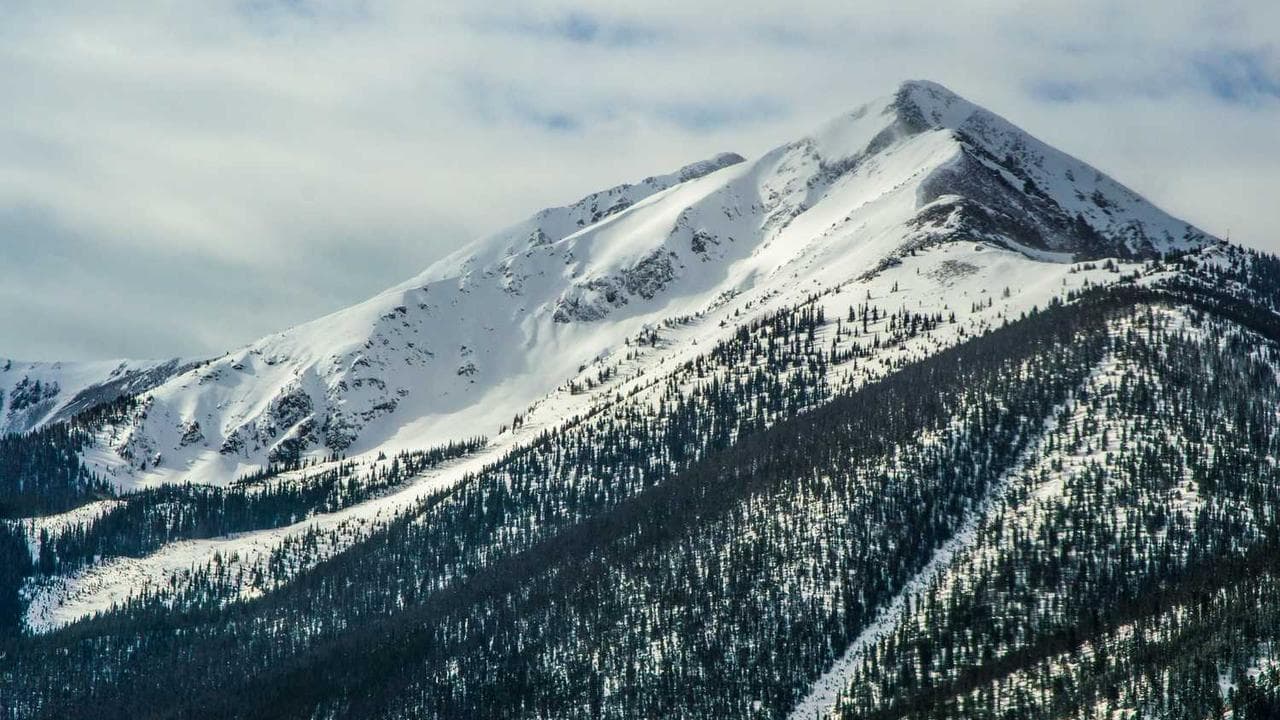 Backdrop for خروس