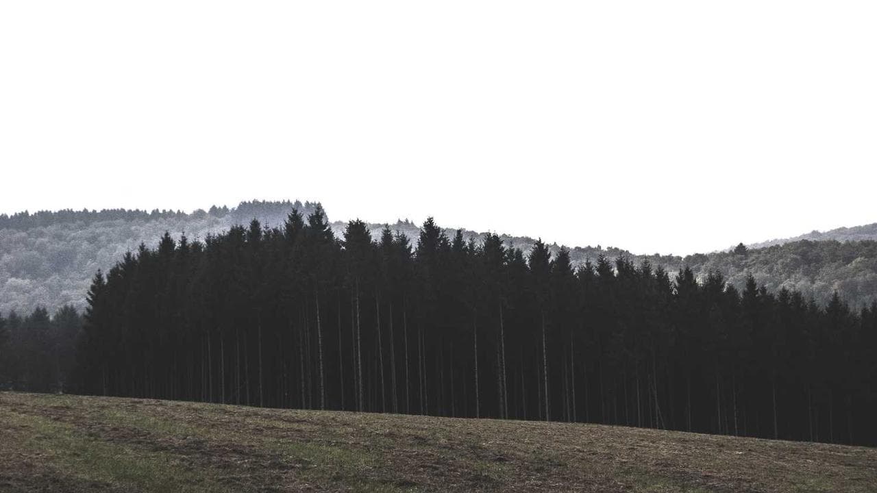 Backdrop for ドクター秩父山