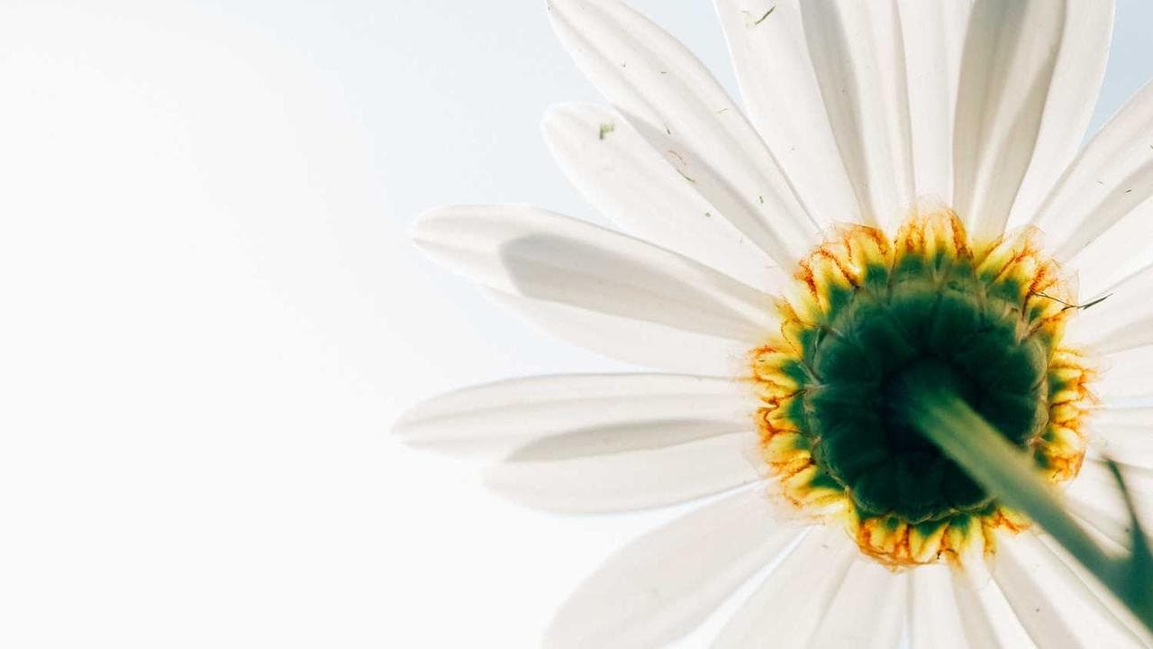 Achtergrond voor 白天豪门凌总，晚上跪地求宠