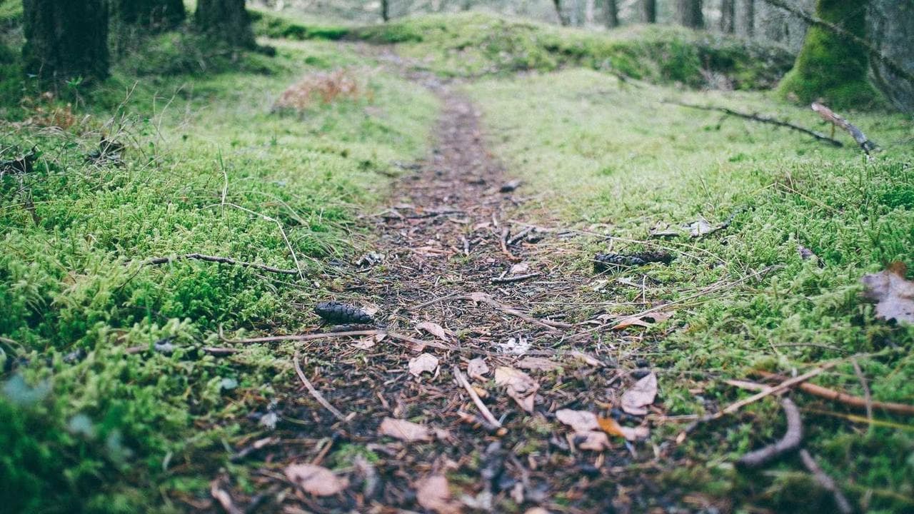 Achtergrond voor Slime Wave