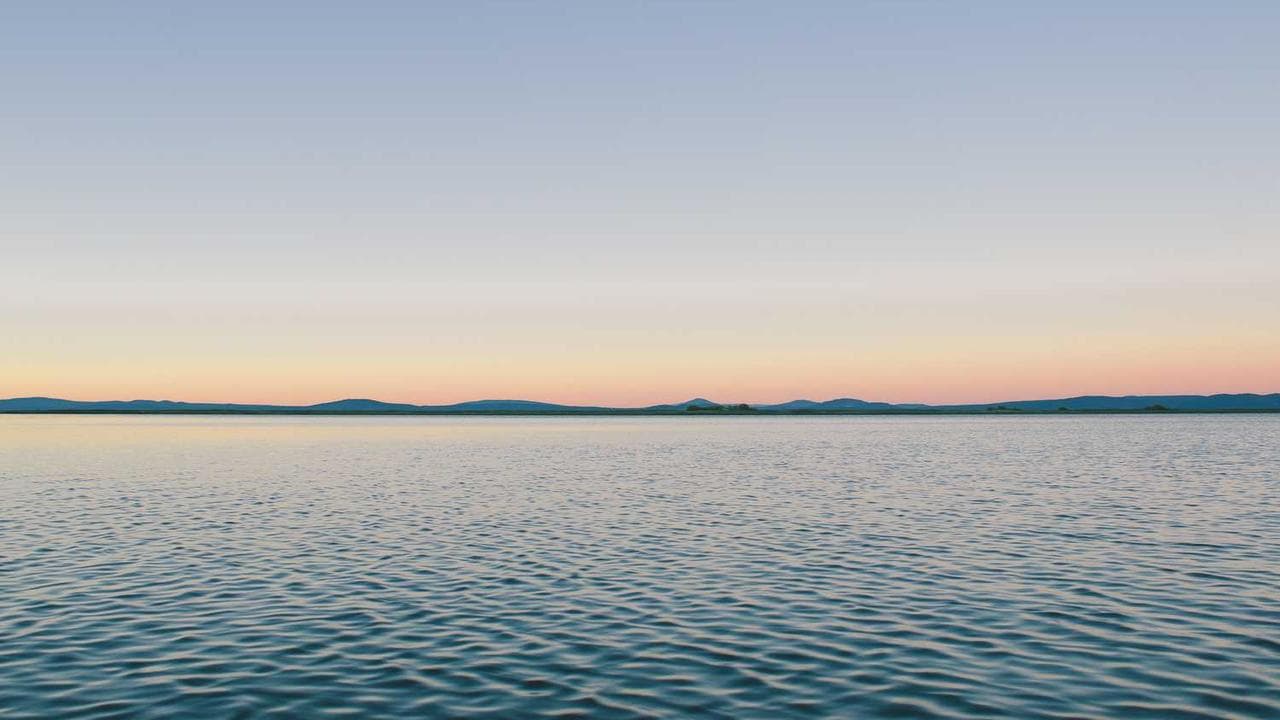 Achtergrond voor Die Toten Hosen - Reich & Sexy II