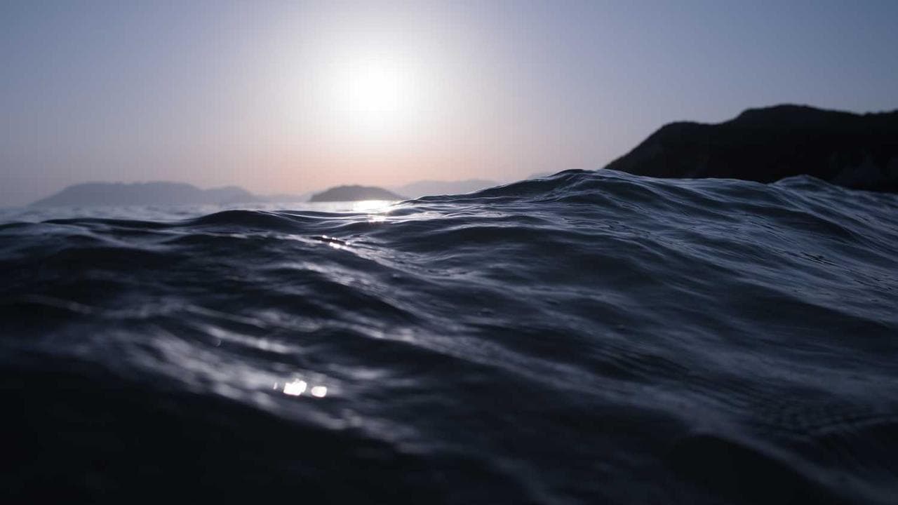 Backdrop for LifeRaft
