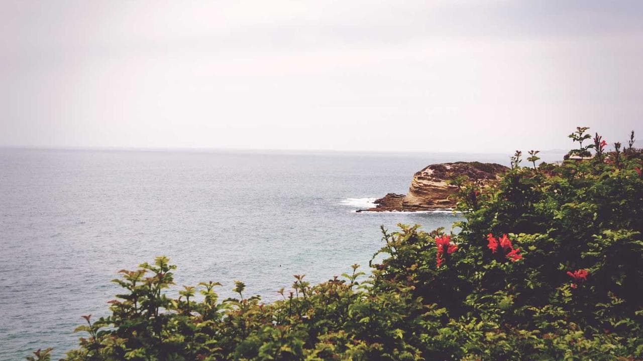 Backdrop for 秘色临界