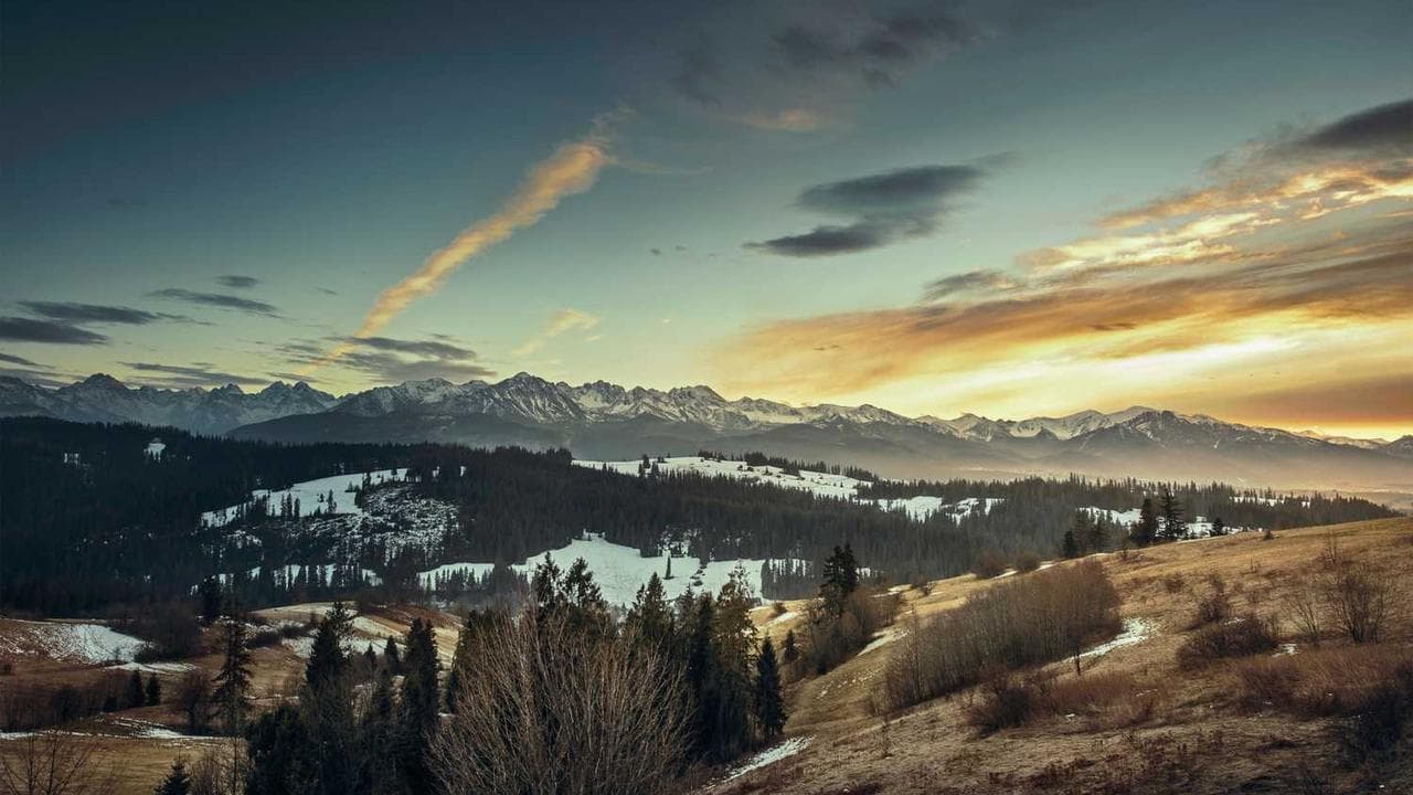 Backdrop for Die Lichtenbergs - zwei Brüder, drei Frauen und jede Menge Zoff