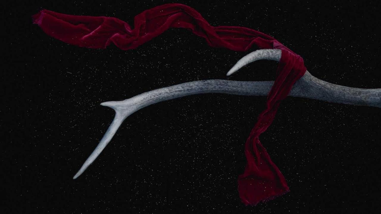 Backdrop for Mortal Sins