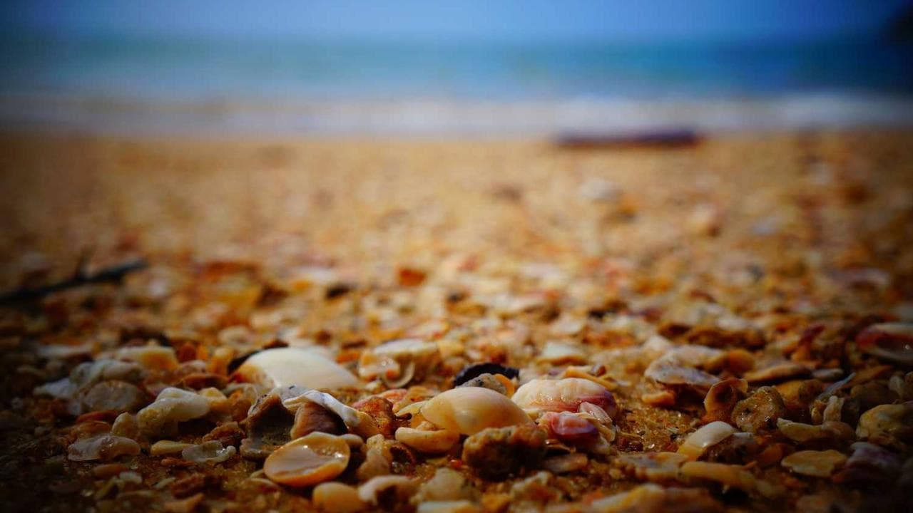 Achtergrond voor கருப்புசாமி குத்தகைக்காரர்