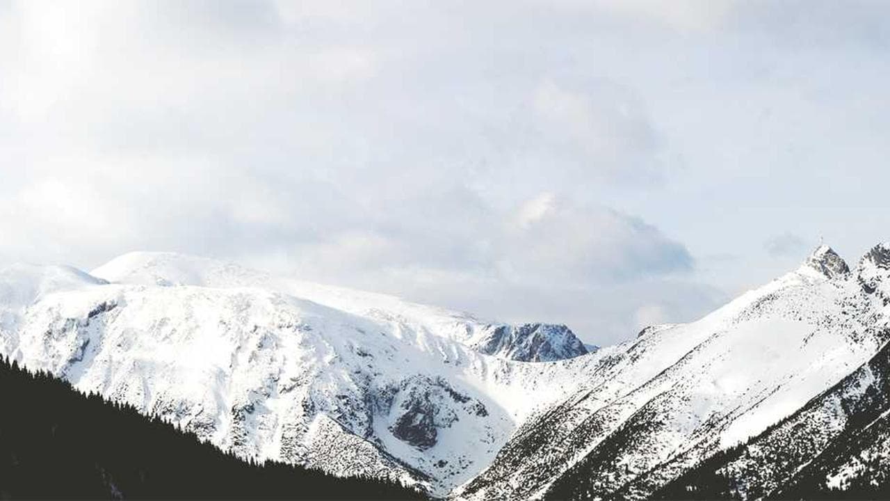 Backdrop for Leoparın Kuyruğu