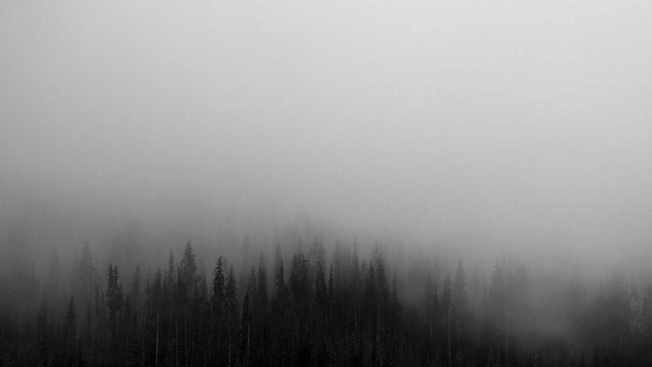 Backdrop for Переступить черту