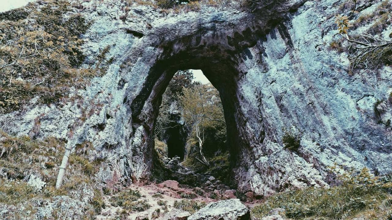 Backdrop for 全部見せます 年忘れドラゴンボールZ!