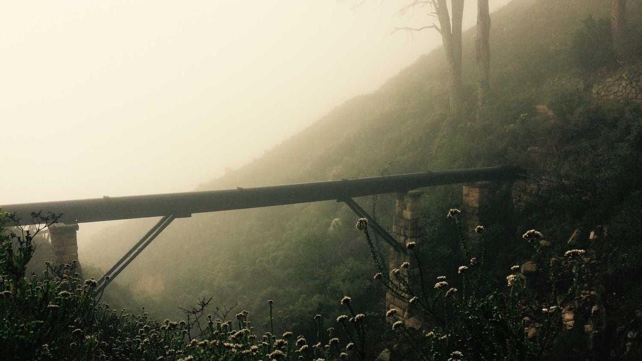 Backdrop for Strangely in Love