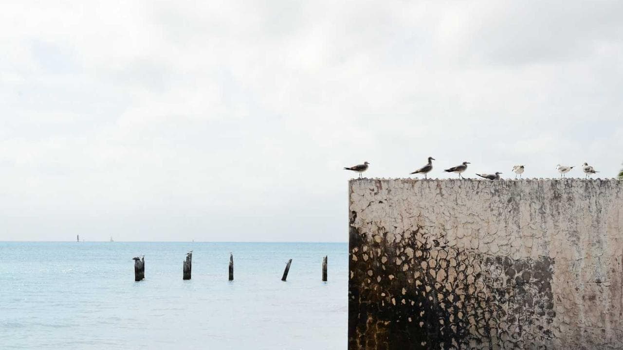 Backdrop for Bebek Belur