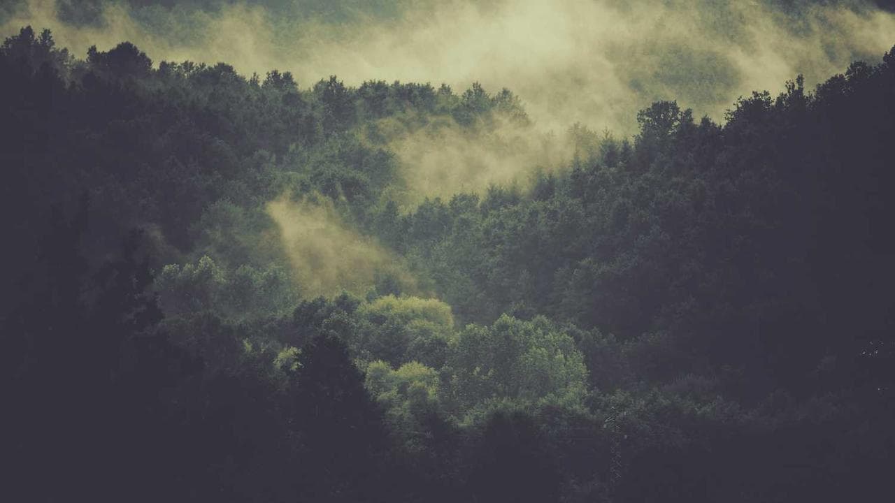 Backdrop for Soul