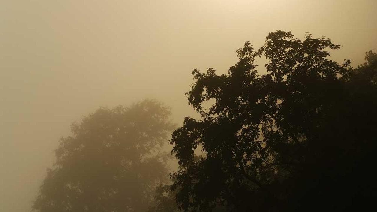 Backdrop for La redención