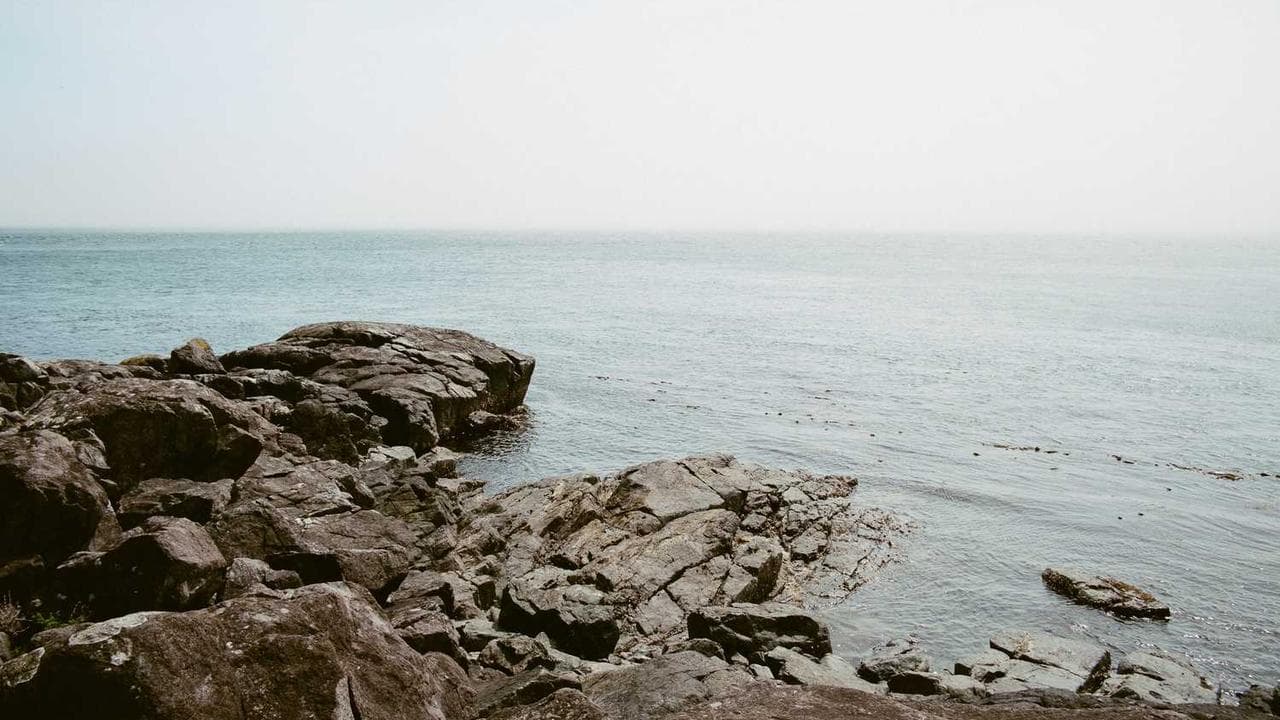 Backdrop for The Siege