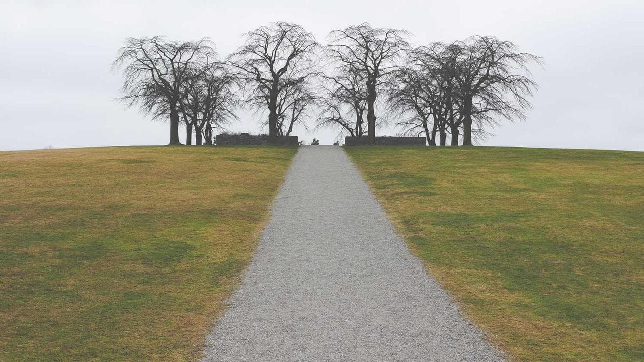 Achtergrond voor Ulbo Garvema
