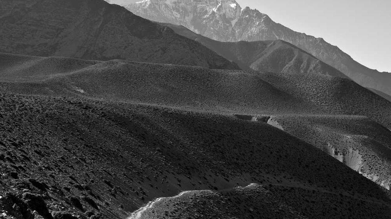 Backdrop for Playing to Win: A Moment of Truth Movie
