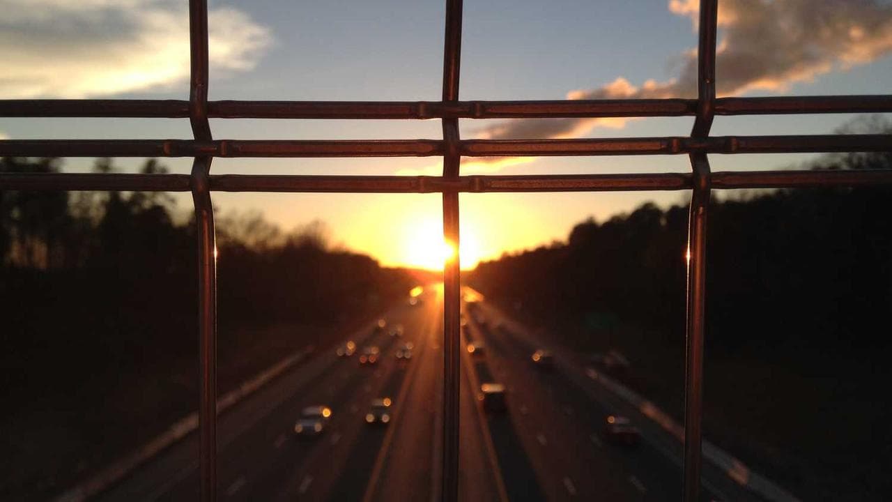 Backdrop for Everything That Rises