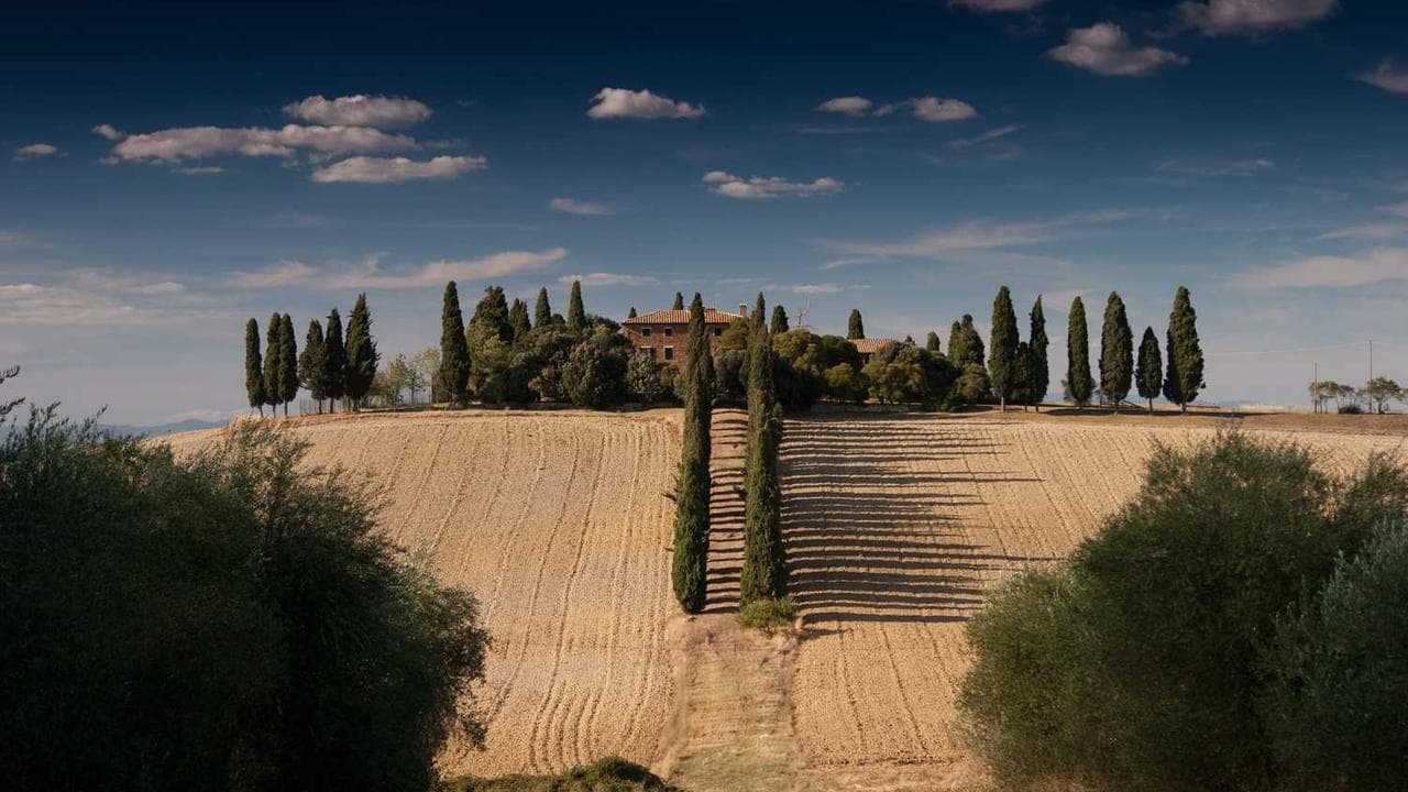 Backdrop for Transmania