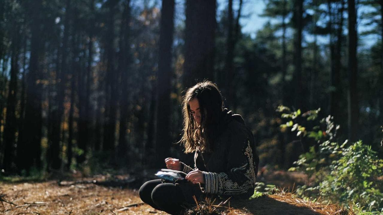 Backdrop for A Girl of the Timber Claims