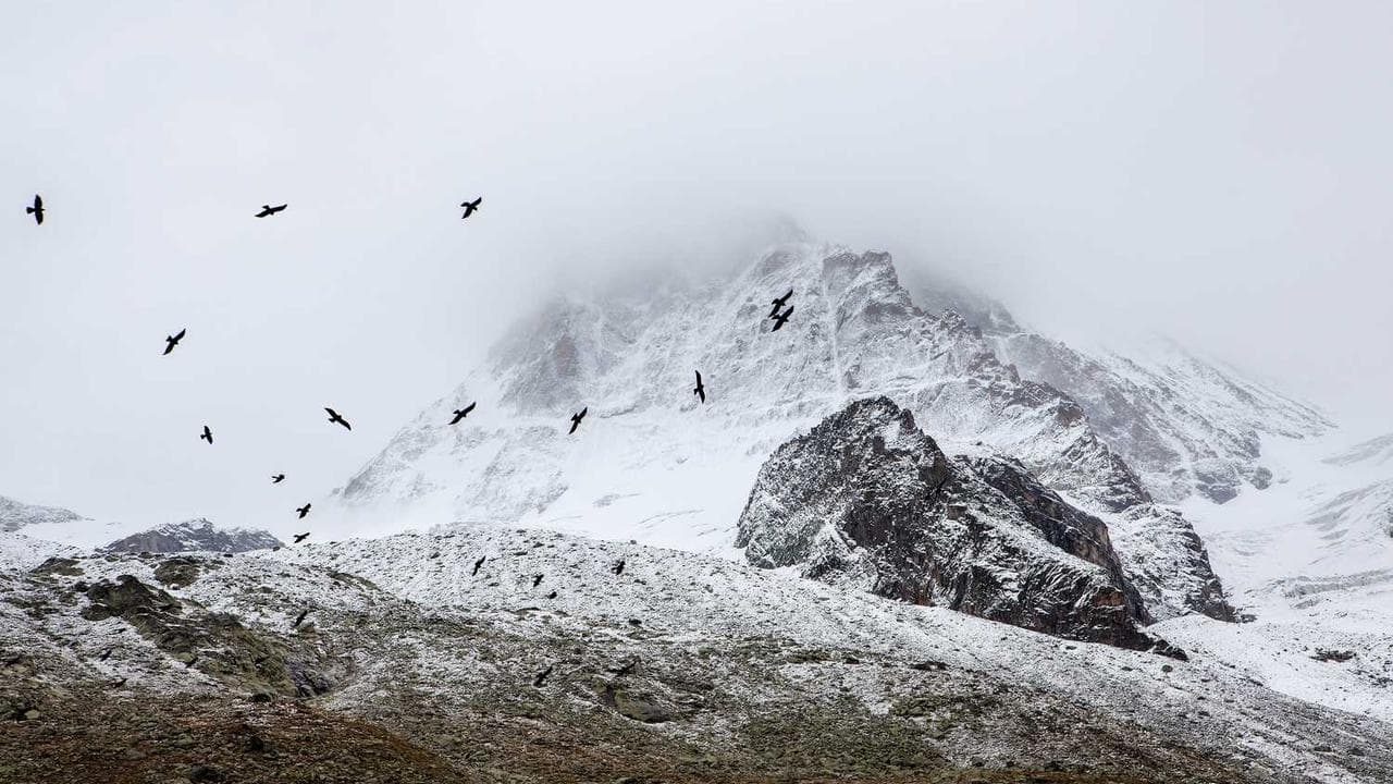 Backdrop for Por encima del abismo de la desesperación