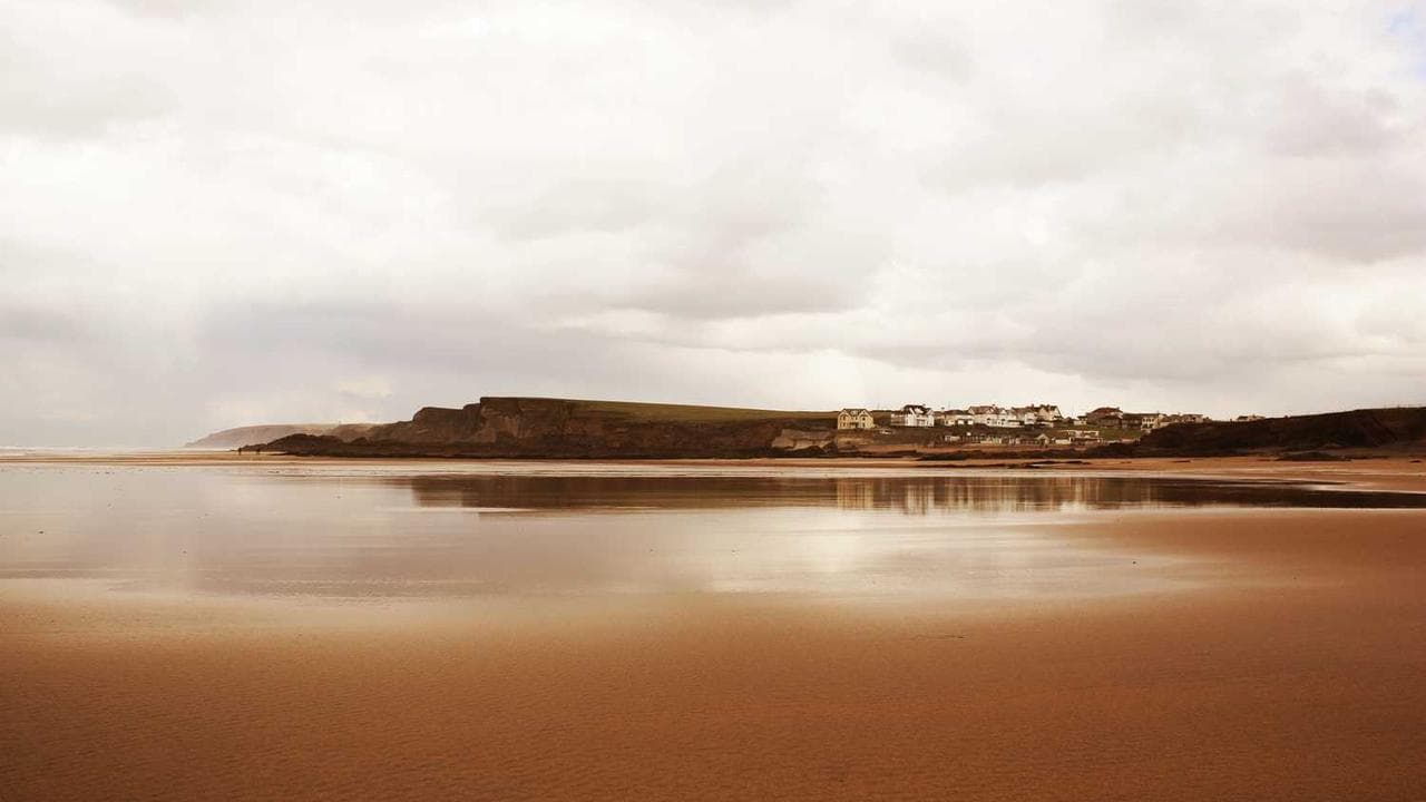 Backdrop for Lucian Freud: Painted Life