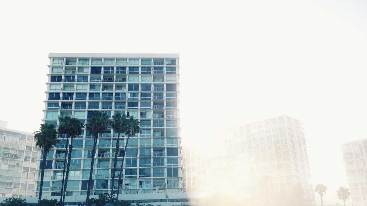 Backdrop for Discolocos