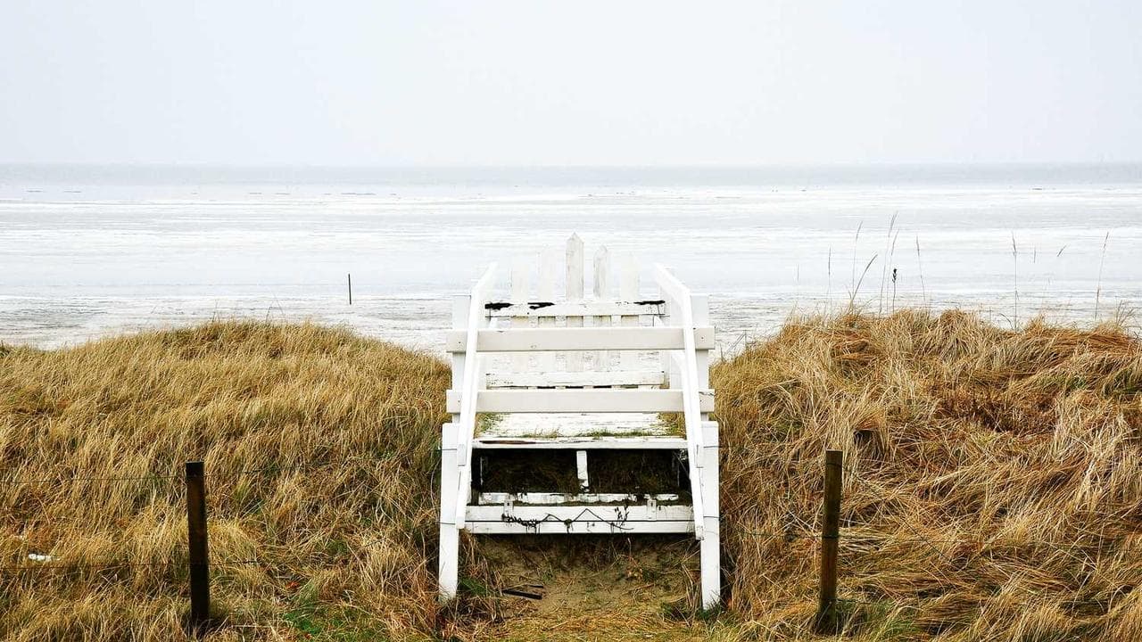 Backdrop for The Wedding of Lilli Marlene
