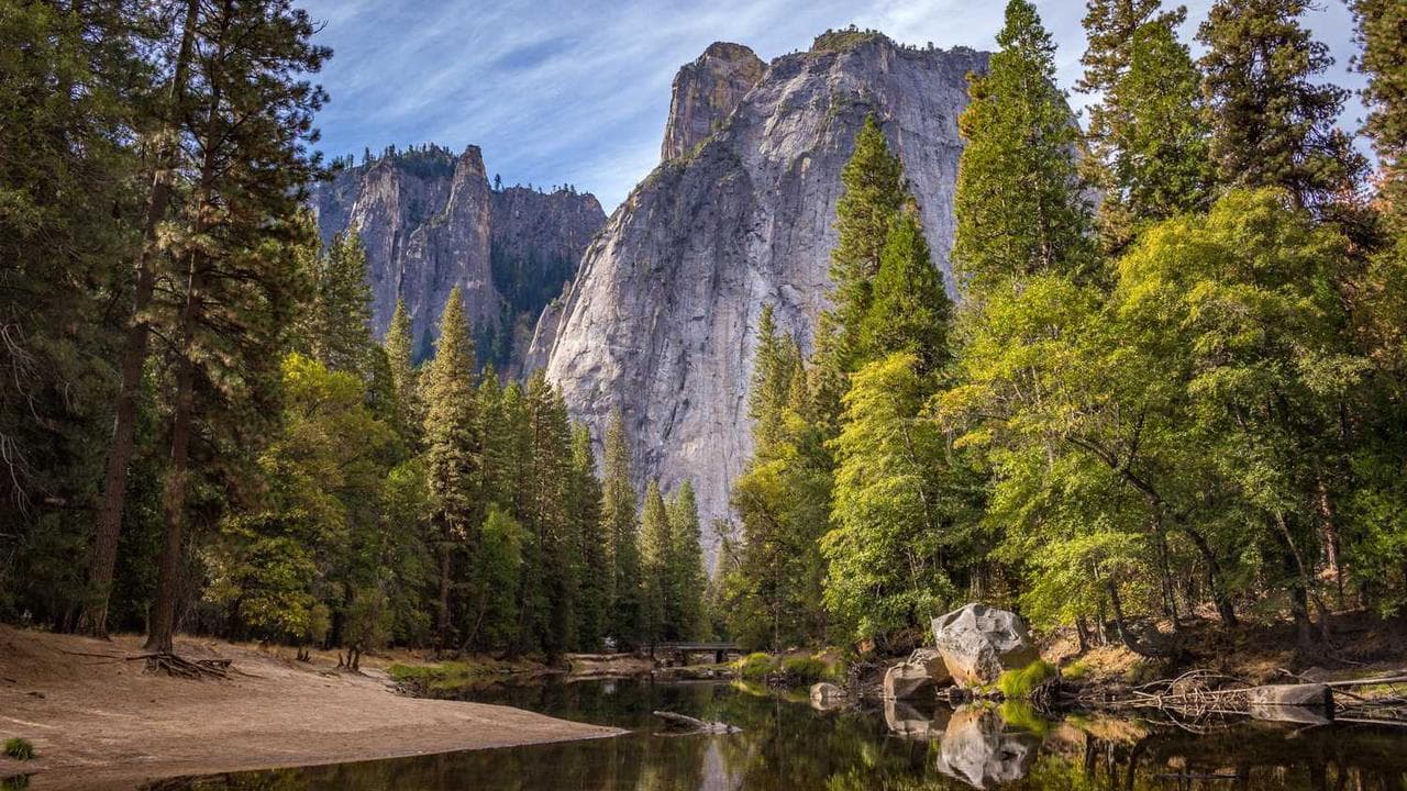 Backdrop for Return of the Ewok