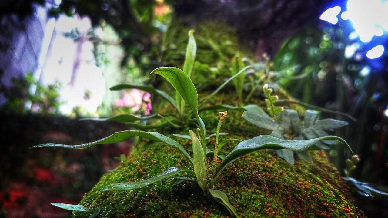 Backdrop for だれの椅子？