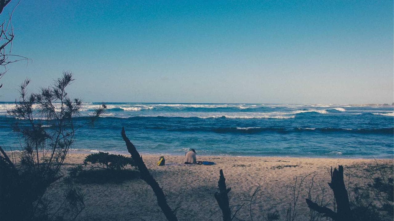 Backdrop for Los Dos Matones