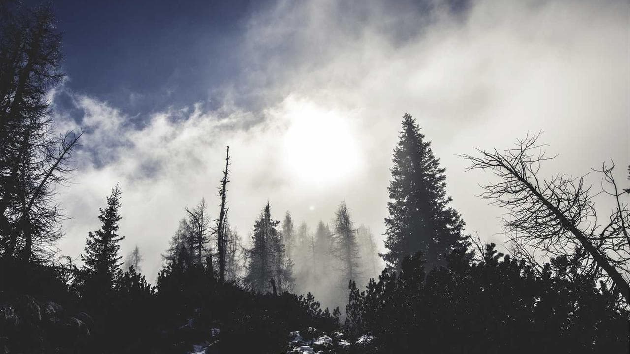Backdrop for Carbon: A Story of Tomorrow