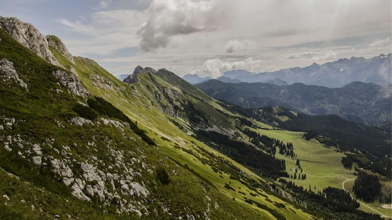 Backdrop for Os Príncipes