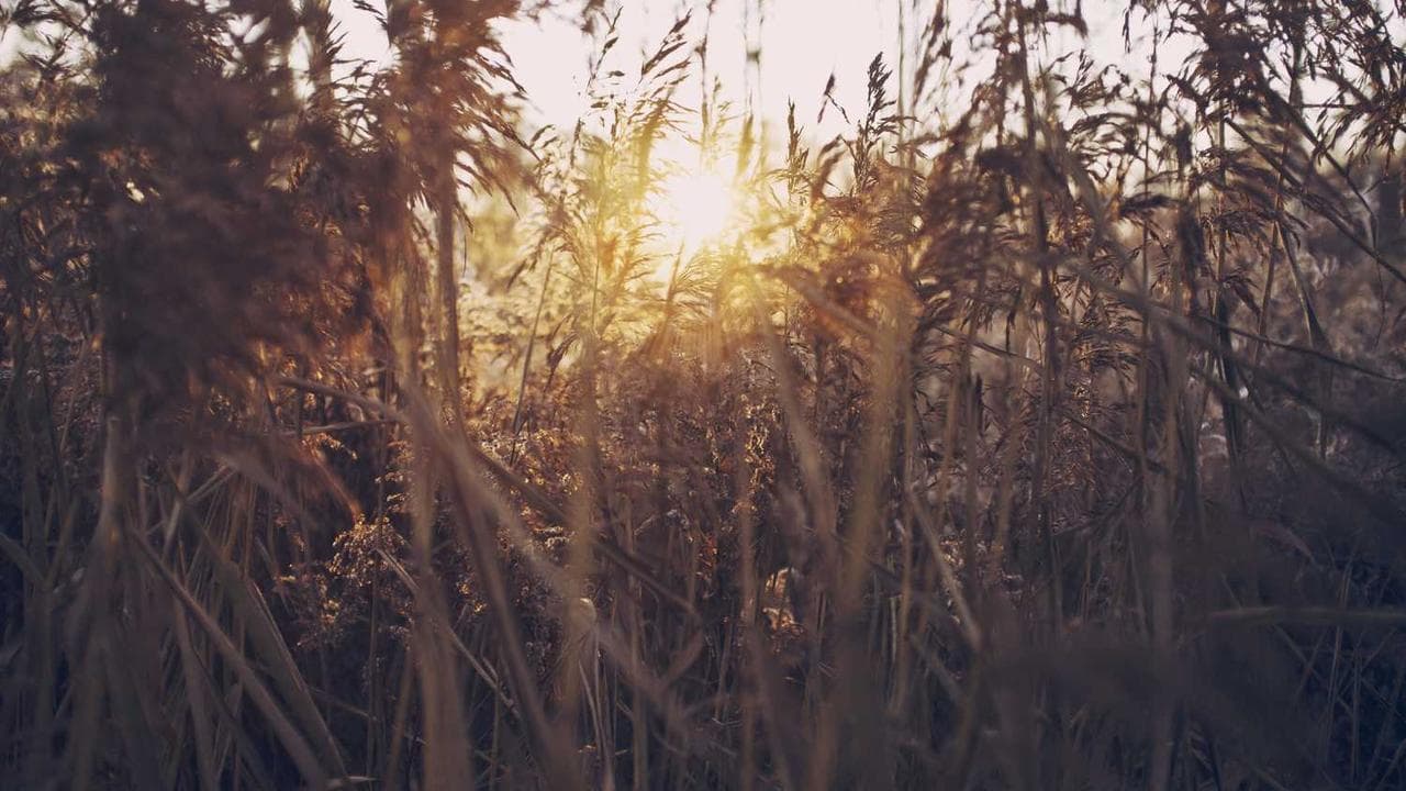 Achtergrond voor ใจ