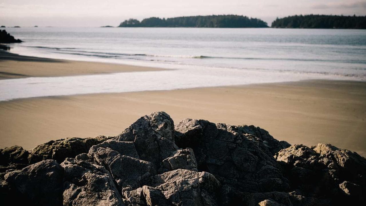Backdrop for О тех, кого помню и люблю