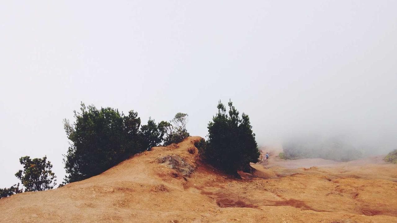Backdrop for Edge