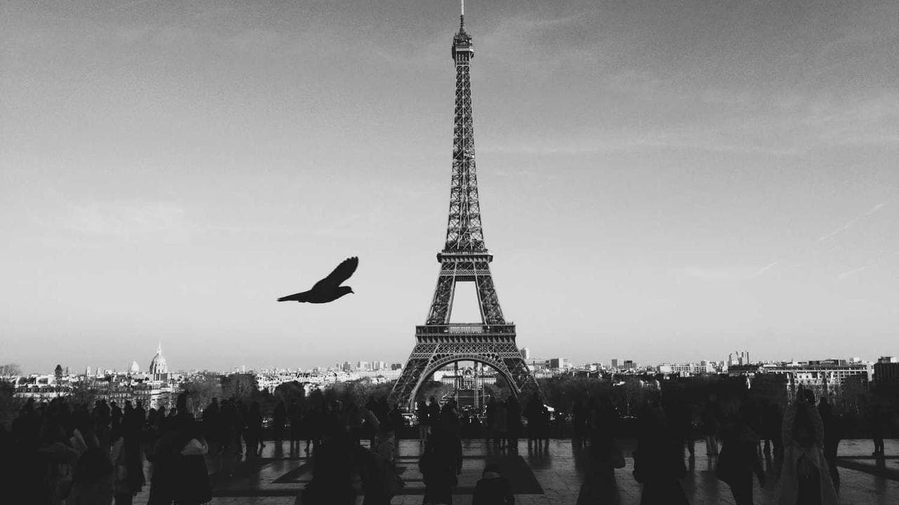 Backdrop for Paano Kita Iibigin