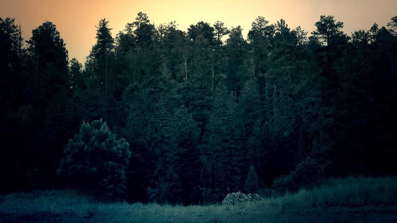 Backdrop for A Time to Heal