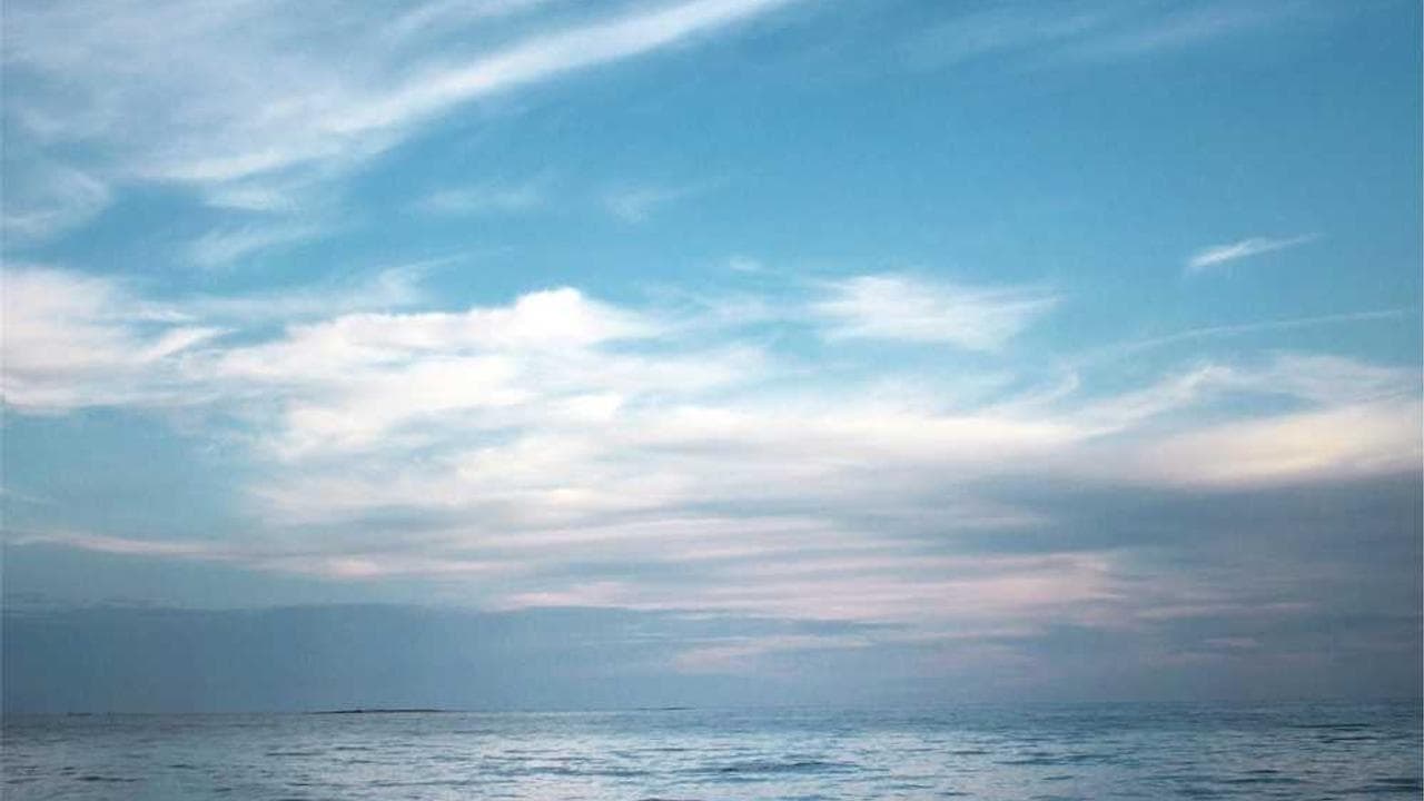 Achtergrond voor 8th Street Latinas 32