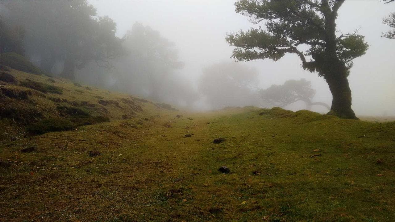 Backdrop for Blood of the Samurai 2