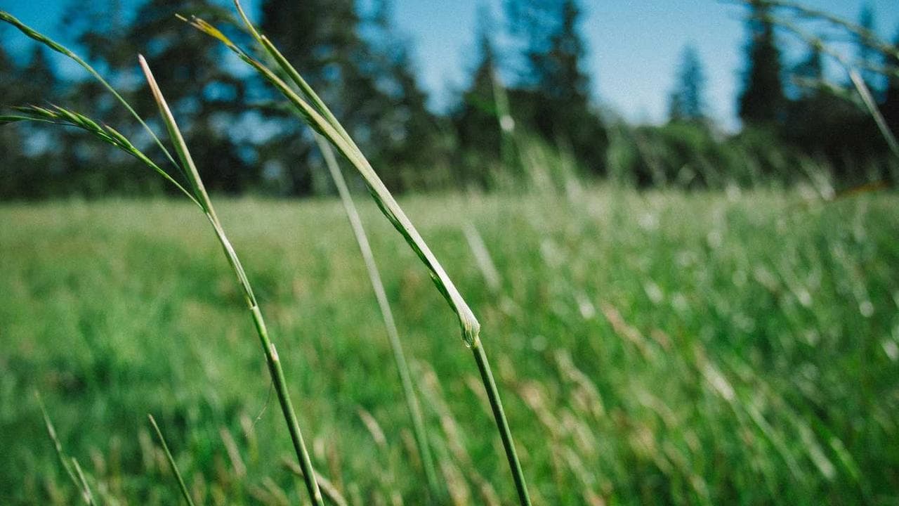 Backdrop for En skam för Sverige 2