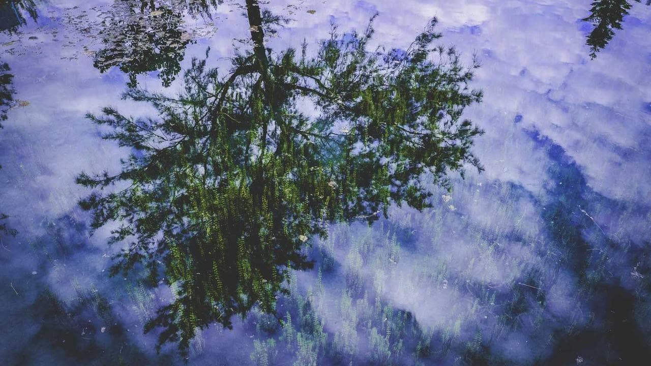 Backdrop for 月亮的秘密