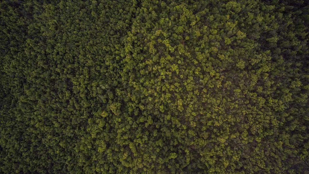 Backdrop for کلاهی برای باران
