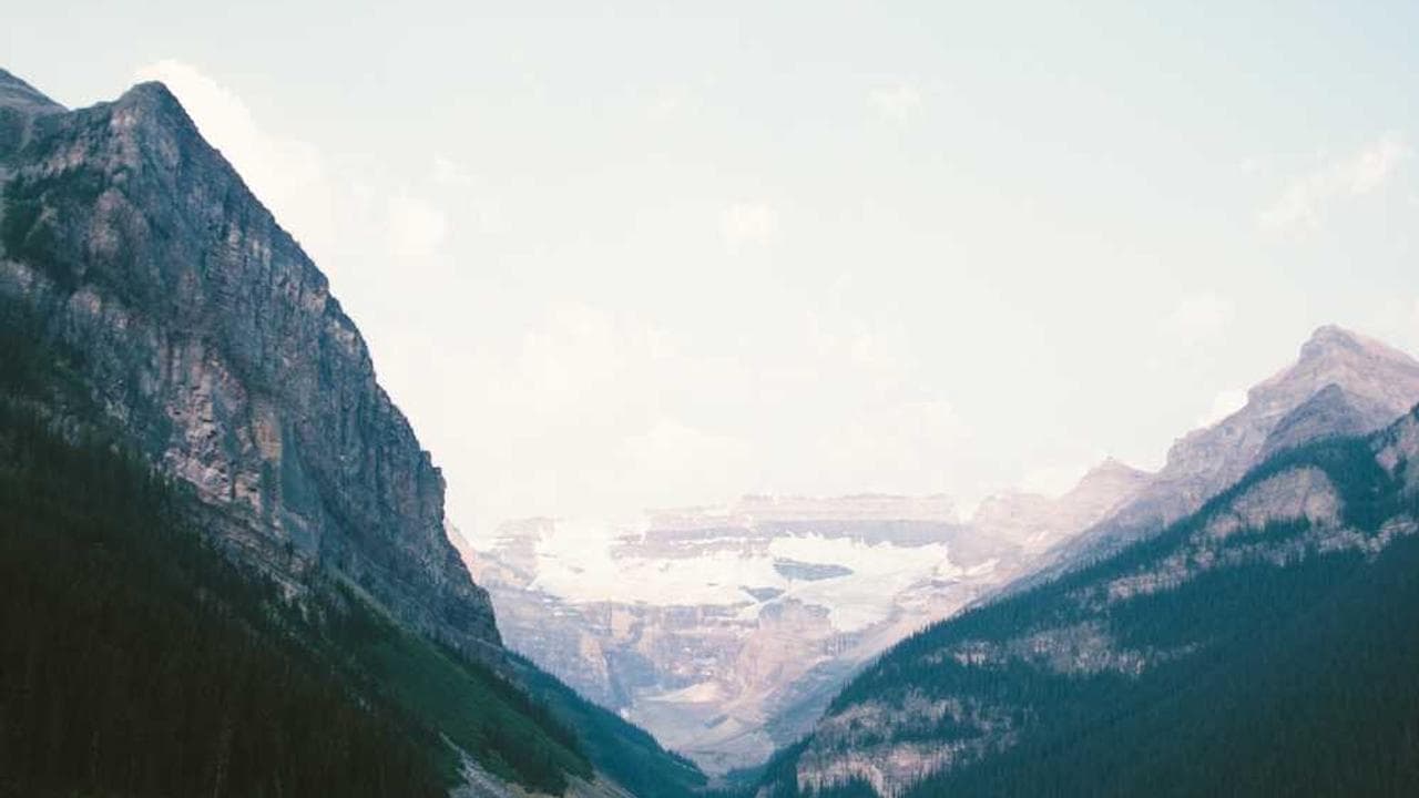 Backdrop for Camp D.O.A.