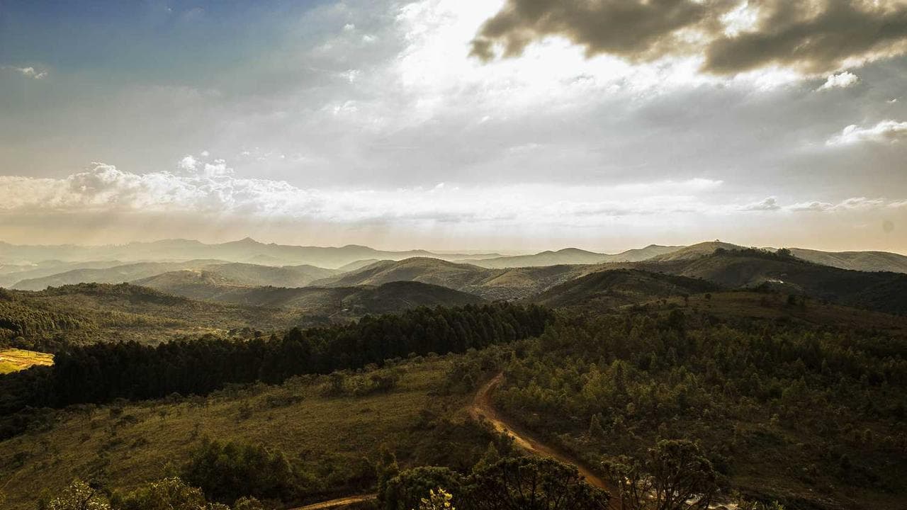 Backdrop for El rayo de Sinaloa