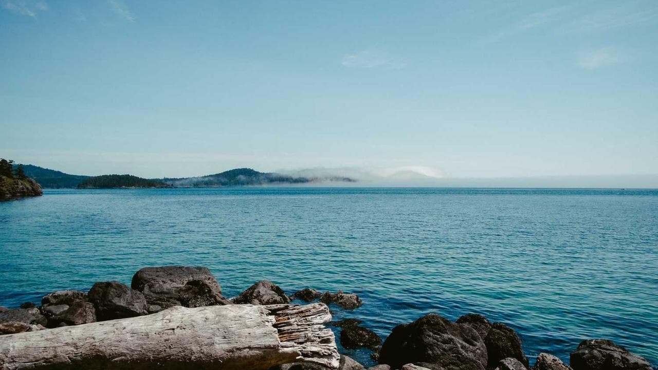 Backdrop for El amor de mi bohío