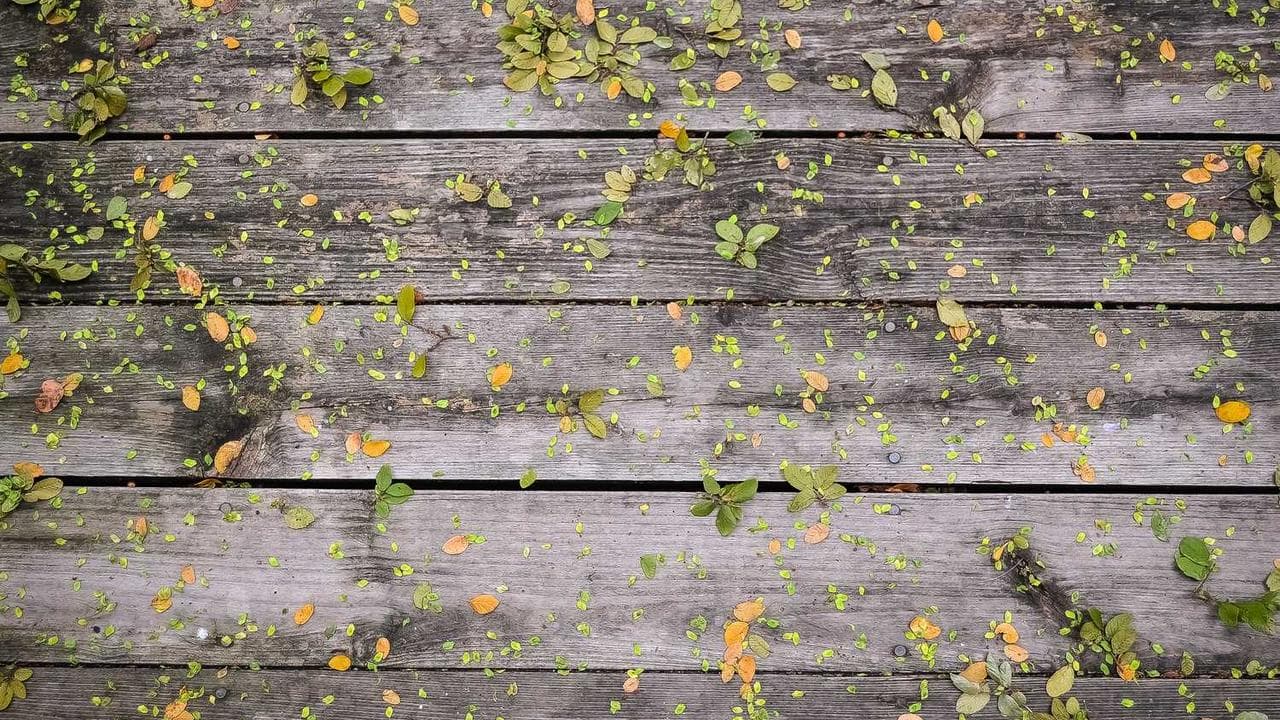 Backdrop for Братство десанта