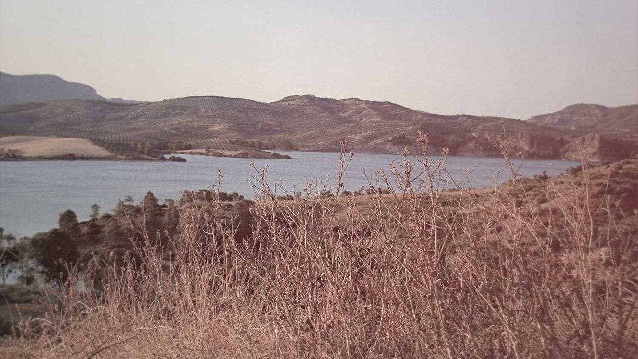 Backdrop for George Stevens and His Place In The Sun